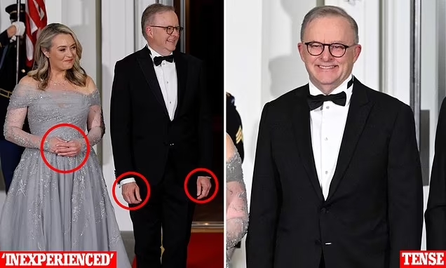 Body language expert exposes the mistake 'first lady' Jodie made at the White House dinner - and decodes the secret signs about Albo's feelings